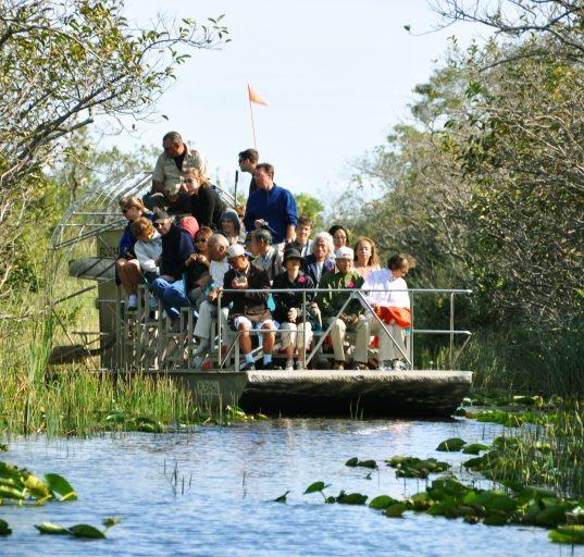 Ao unir lazer, educação e preservação, o programa se consolida como uma ferramenta de formação cidadã (Foto: chensiyuan/Wikimedia)