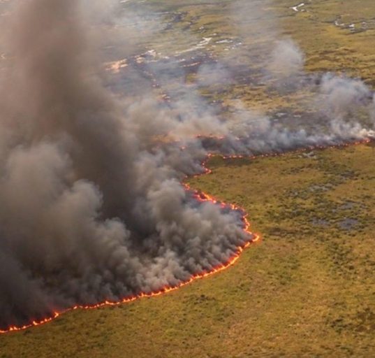 O Serviço Florestal da Flórida e o Corpo de Bombeiros preveem o uso contínuo de helicópteros para combater os focos mais distantes (Reprodução: Redes sociais)
