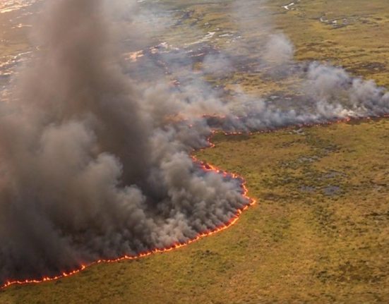 O Serviço Florestal da Flórida e o Corpo de Bombeiros preveem o uso contínuo de helicópteros para combater os focos mais distantes (Reprodução: Redes sociais)