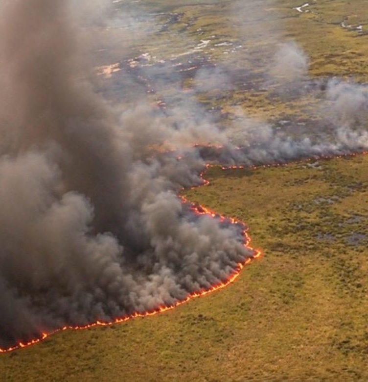 O Serviço Florestal da Flórida e o Corpo de Bombeiros preveem o uso contínuo de helicópteros para combater os focos mais distantes (Reprodução: Redes sociais)