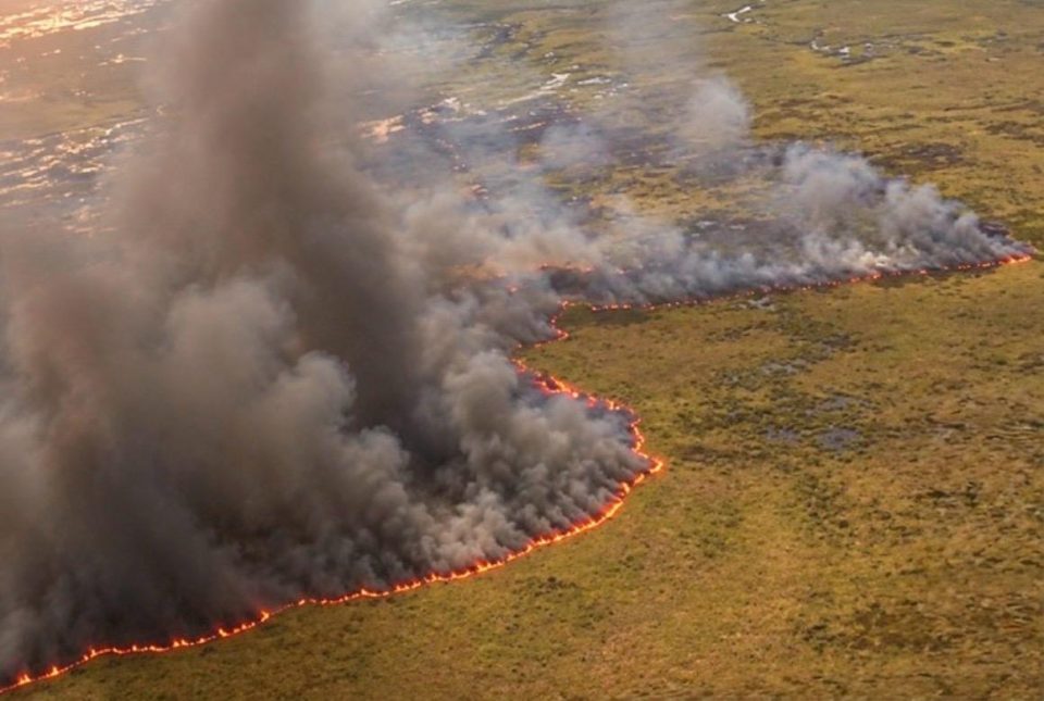 O Serviço Florestal da Flórida e o Corpo de Bombeiros preveem o uso contínuo de helicópteros para combater os focos mais distantes (Reprodução: Redes sociais)